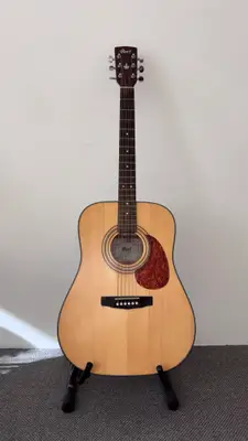 Cort Earth60 NS